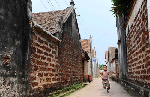 Đề xuất giữ nguyên cấu trúc làng cổ Đường Lâm ảnh 1